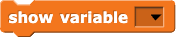 show variable